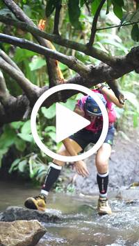 BIB:  <button type="button" onclick="openModal(27806367)" class="btn btn-primary btn-sm float-right" data-toggle="modal" data-target=".modal-high-quality">
                <i class="fa fa-download"></i> Download
                </button>